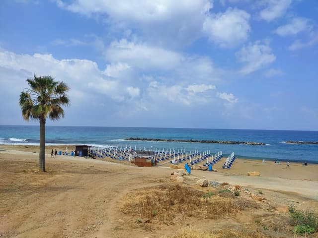 Venus beach
