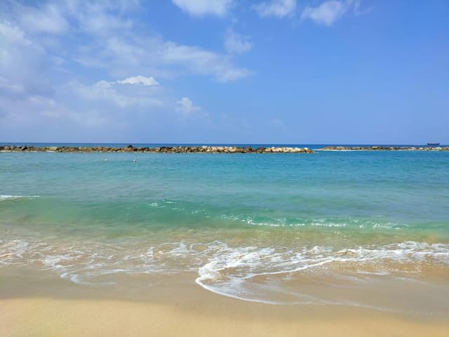 Venus beach