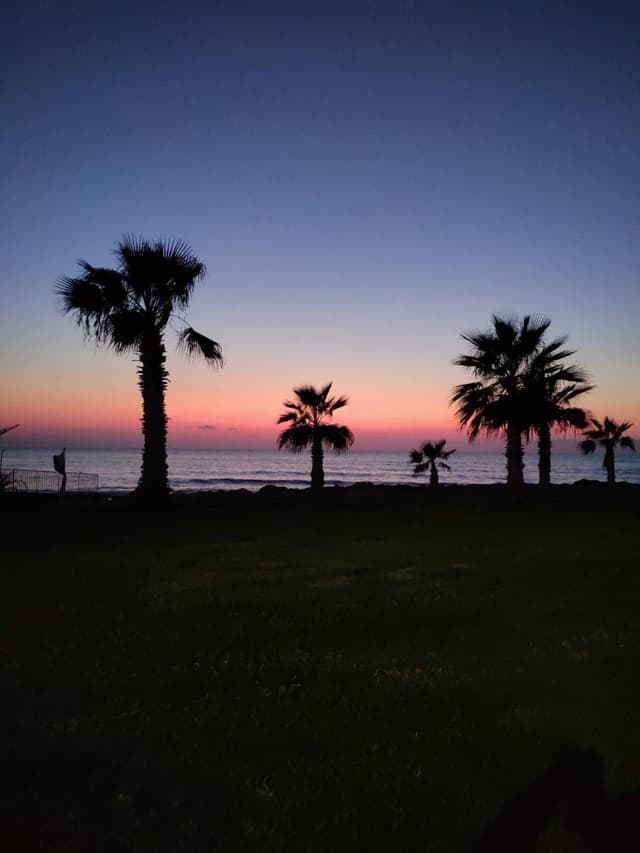 Amazing sunsets!