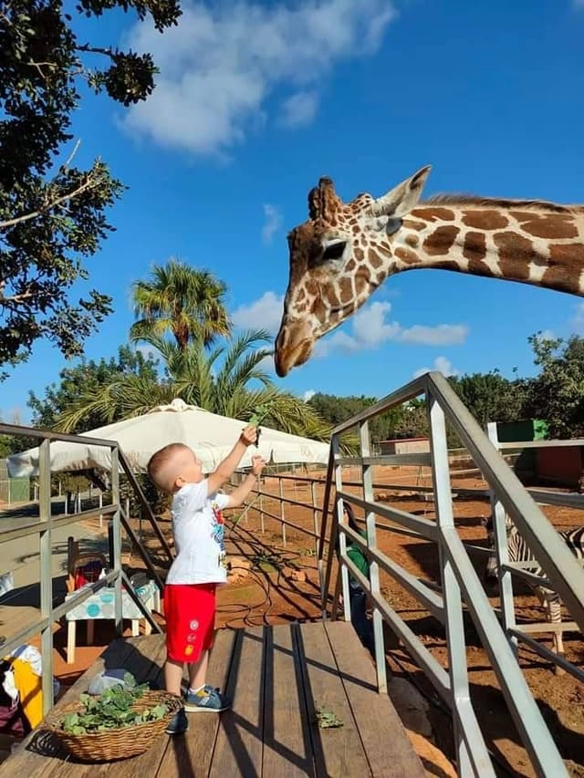 Zoo nearby!